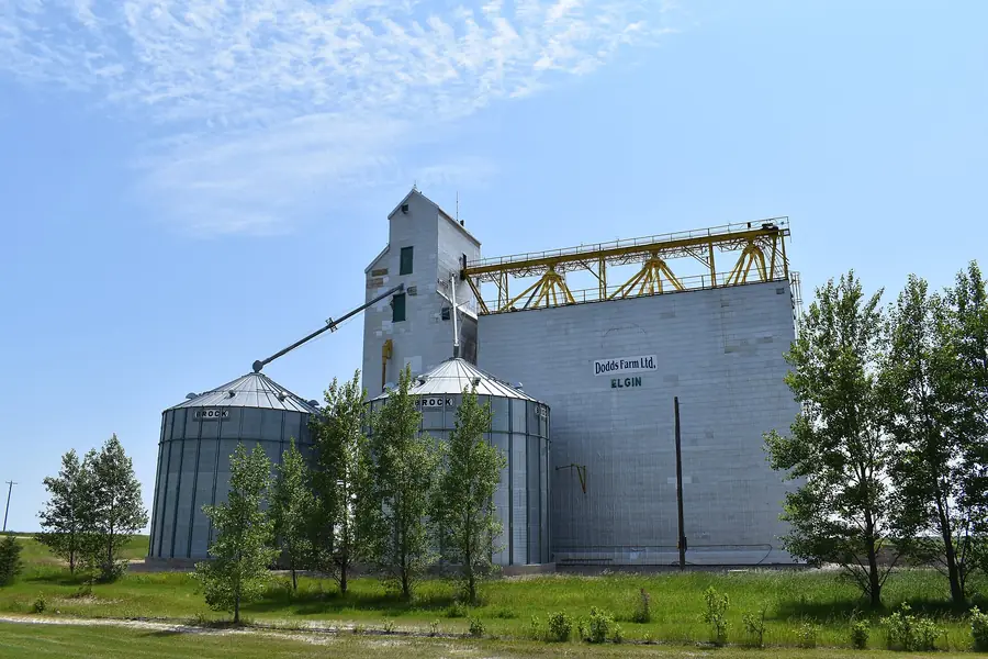 Grain elevator and bins in Elgin, Manitoba